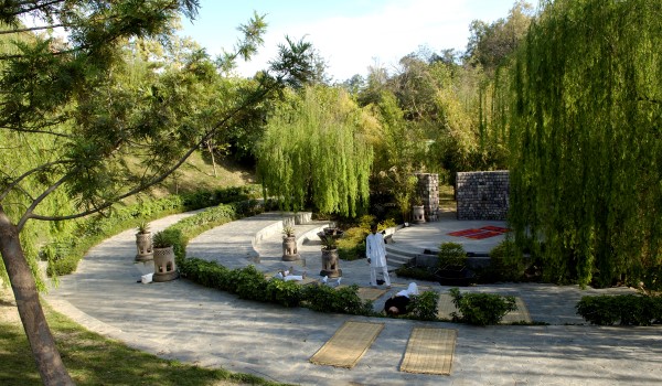 Morning yoga at the amphitheatre at Ananda, India