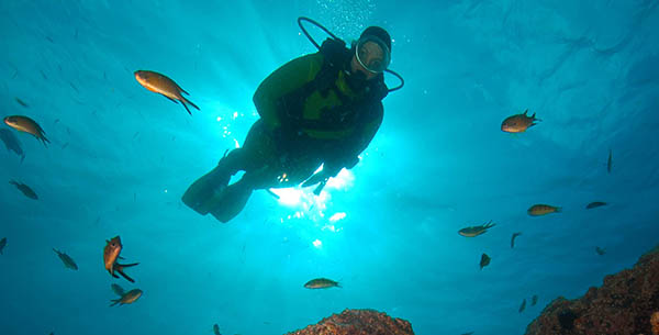 Person diving at Galo Resort in Madeira