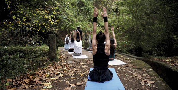 Galo forest yoga