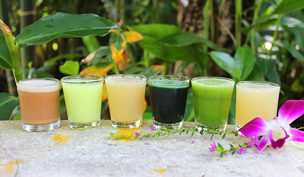 Juice Fasting at Absolute Sanctuary 
