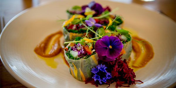 Salad at Aro Ha Wellness Retreat - a great foodie getaway