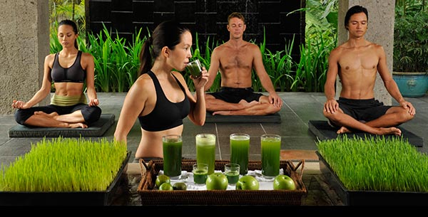 Experience Juice Fasting at Absolute Sanctuary