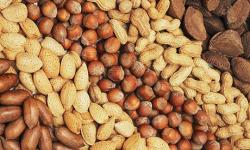 Superfoods: nuts