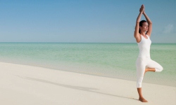 Parrot Cay - Turks & Caicos