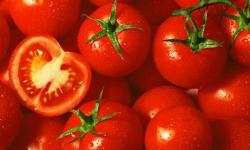 Superfoods: tomatoes