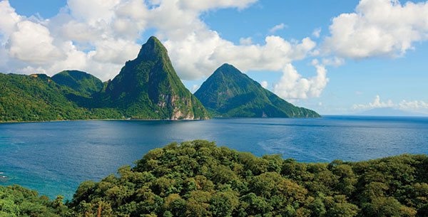 pitons jungle at st lucia